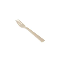 Bamboe Vork Bio 170mm (100 stuks) Best