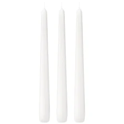 Bolsius Professional Gotische Kaars Wit (100 stuks) Best