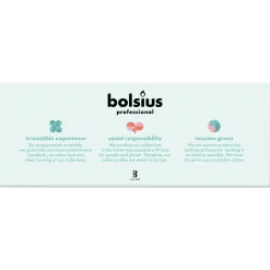 Bolsius Professional Gotische Kaars Wit (100 stuks) Best