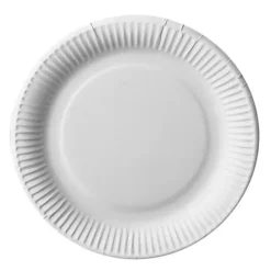 Borden Rond Wit Karton 23 cm (100 stuks) Online