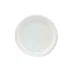 Bord Rond Suikerriet 26cm (500 stuks) Online