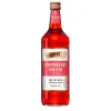 De Kuyper Strawberry Mojito Cocktail (1 liter) Clearance