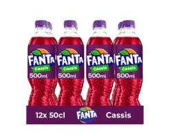 Fanta Cassis PET (12x 50cl) Clearance