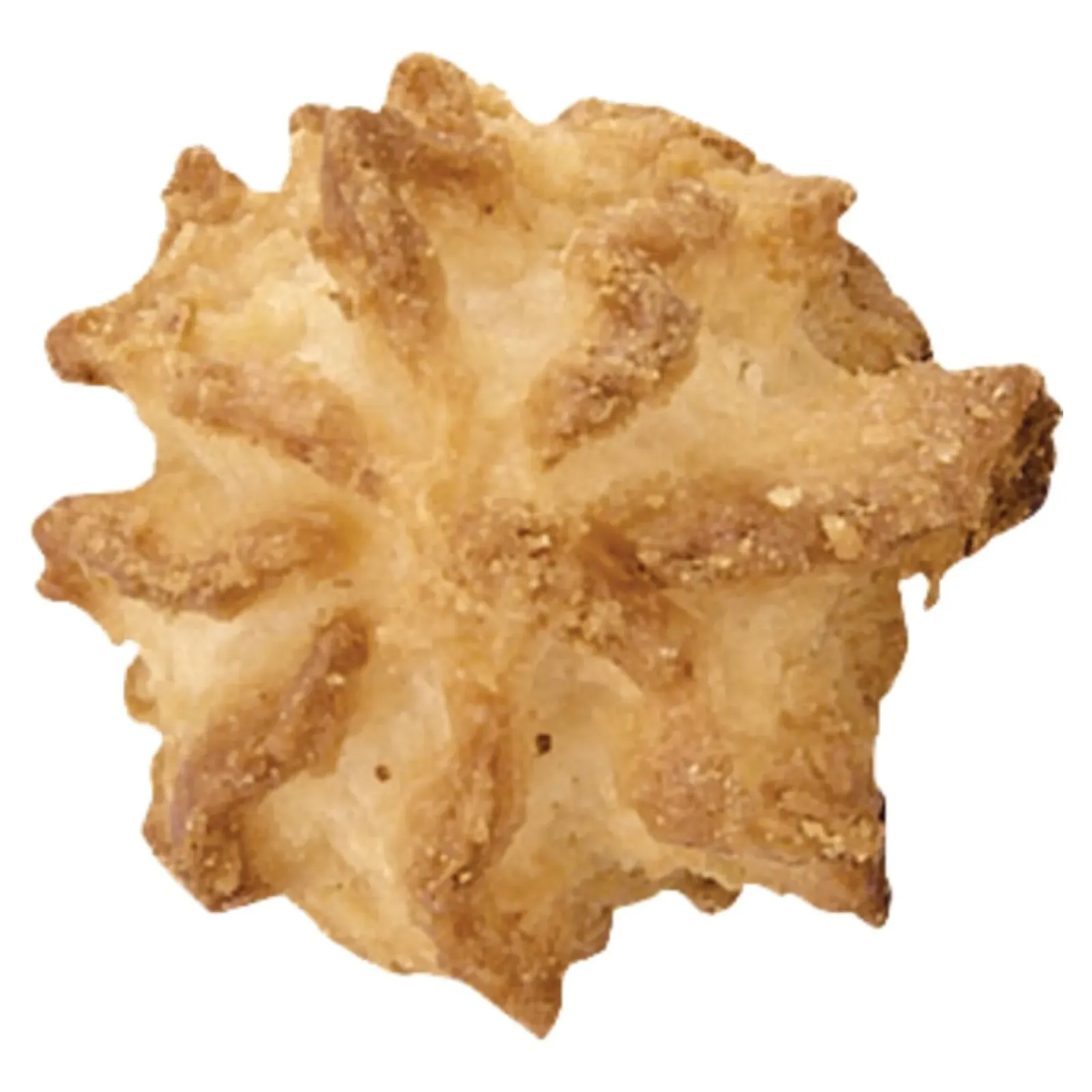 Hoppe Koffiekoekjes Luxe Potpourri 8 soorten (150 stuks) New