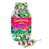 Candyman Mac Bubble Watermeloen Lollie (100 stuks) Online
