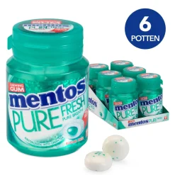 Mentos Kauwgom Wintergreen Bottle (6x 30 stuks) Clearance