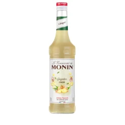 Monin Gember Concentraat (70cl) Best