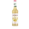 Monin Siroop Gember (70cl) Discount