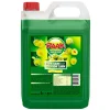 Raak Siroop Reine Claude (5 liter) Hot