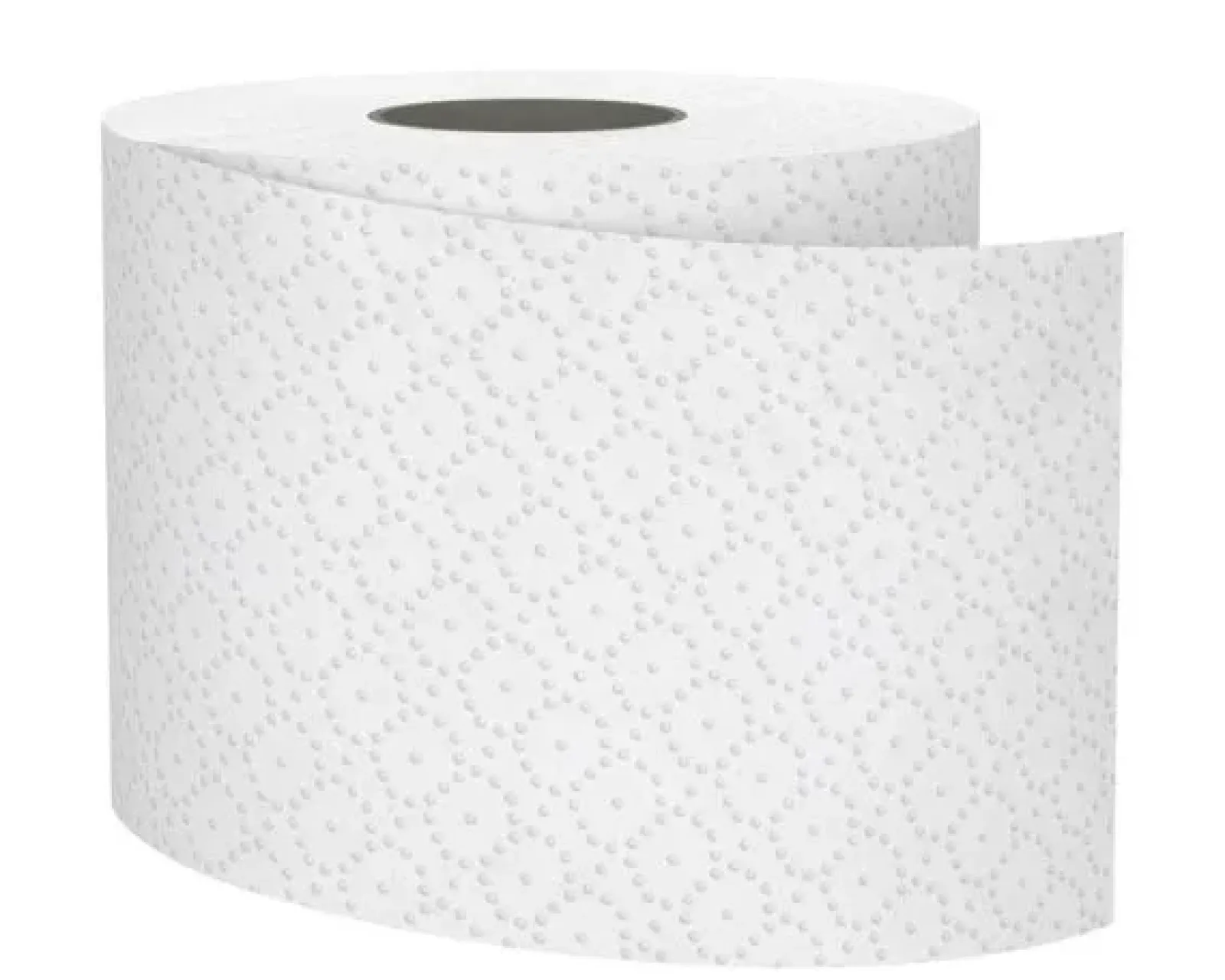 Satino Toiletpapier Recycled 2-laags 400 vel (40x 400 vel) Online