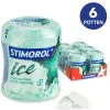 Stimorol Ice Intense Mint Bottle (6x80gr) Best