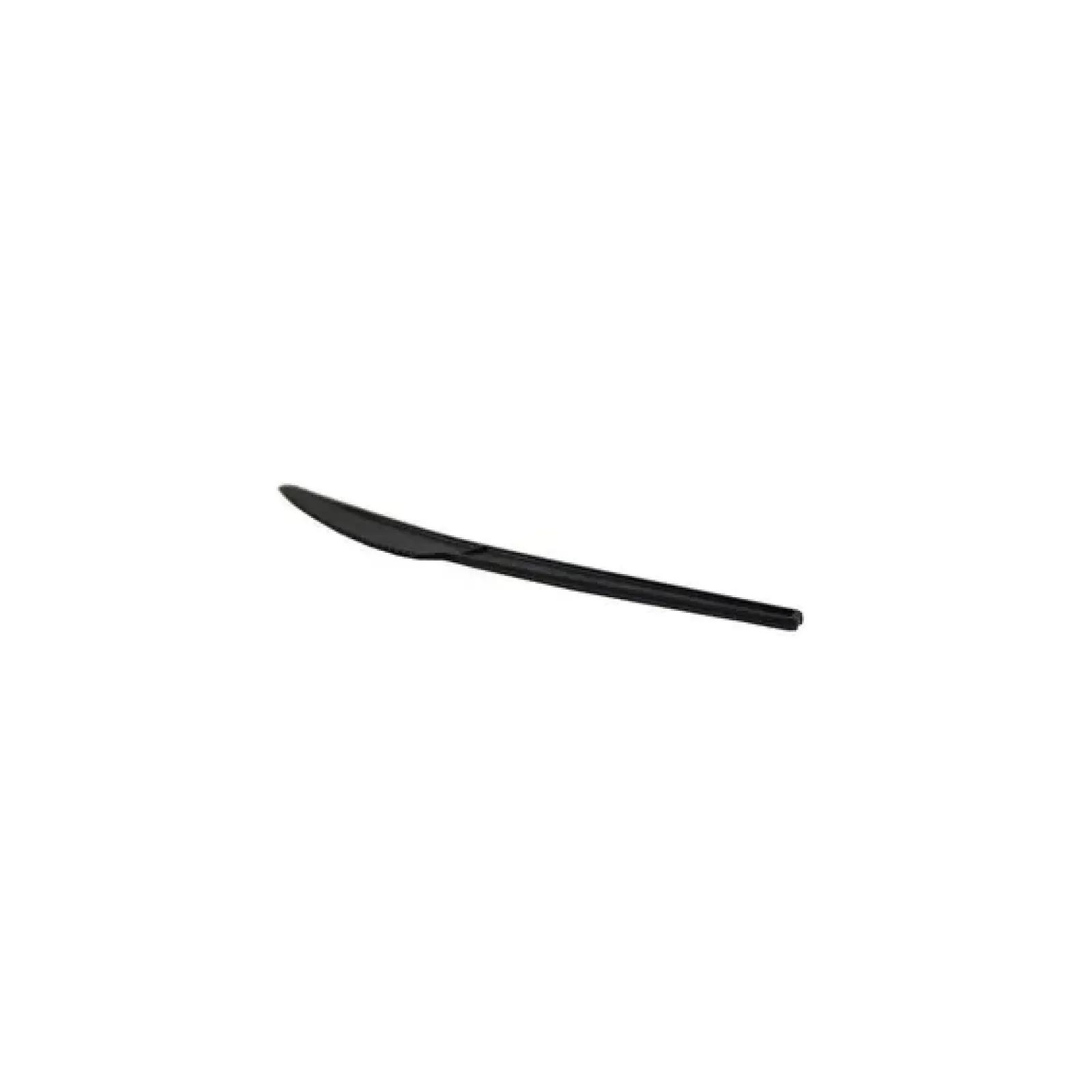 Suikerriet mes wit C-PLA 16.5 cm. ds. (1000 stuks) Online