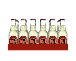 Thomas Henry Ginger Beer flesje (24x 20cl) Best