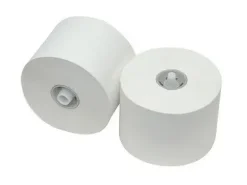 Merkloos Toiletpapier met dop recycled 2 laags (36x 100m) Hot