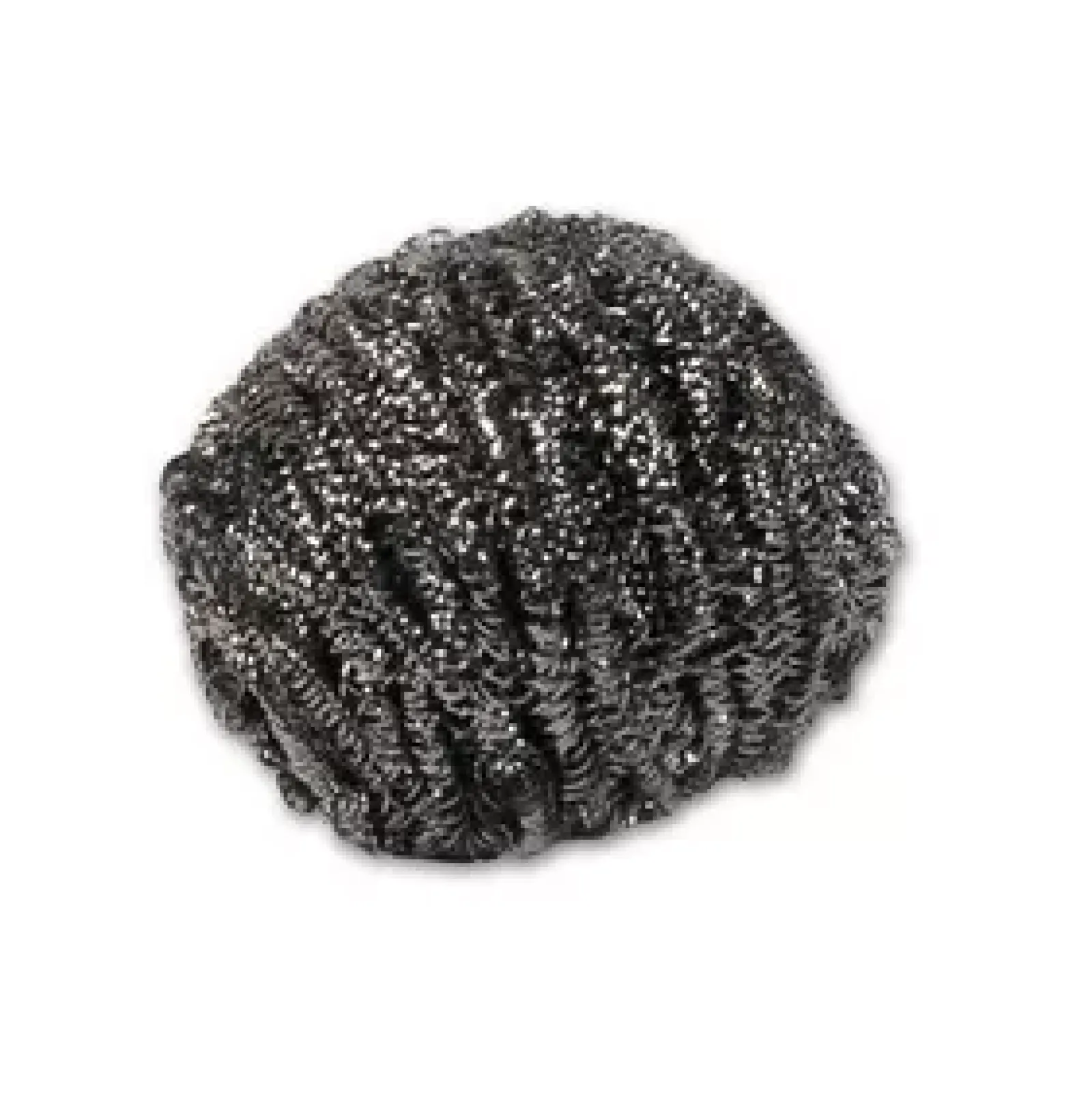 Wecoline schuurbol rvs 60 gram (10 stuks) New